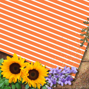 Papel De Presente Listras Horizontais Manga e Branco