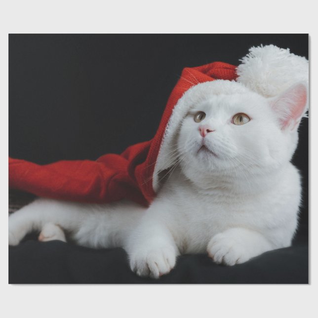Papel De Presente Livro Branco de Molho de Gatos (Aberto)