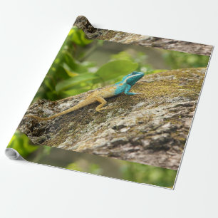 Papel De Presente Lizard Calotes Místáceos Deprimidos de Azul