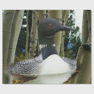 Papel De Presente Loon Wilderness