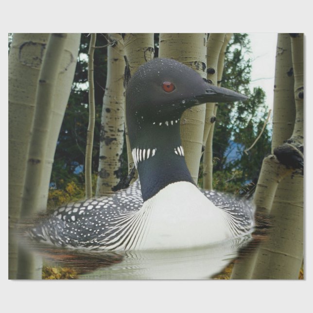 Papel De Presente Loon Wilderness (Aberto)