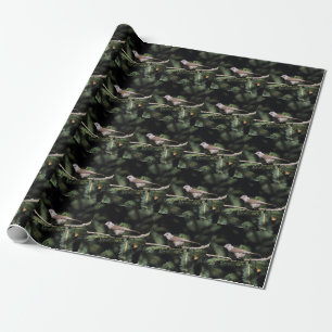 Papel De Presente Lophophanes cristatus