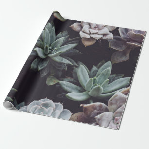 PAPEL DE PRESENTE LOTE DE PLANTA SUCCULENTA DE COR ASSORTADA