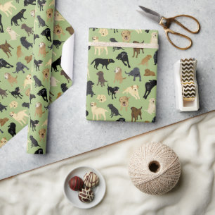 Papel De Presente Lotsa Labs em sage green roll of