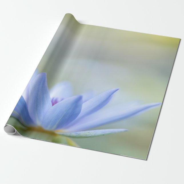 Papel De Presente Lotus Azul Elegante (Desenrolado)