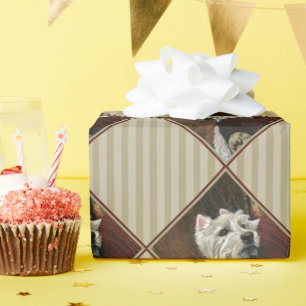 Papel De Presente Lounging Westie em Sofa