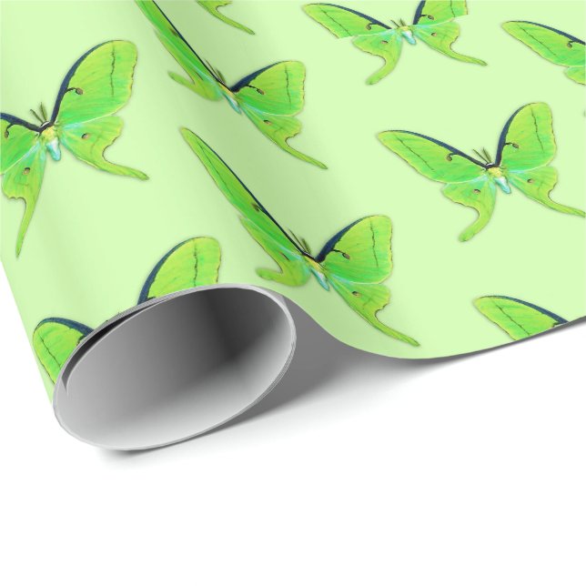 Papel De Presente Luna moth com um fundo verde pálido (Ponta do rolo)