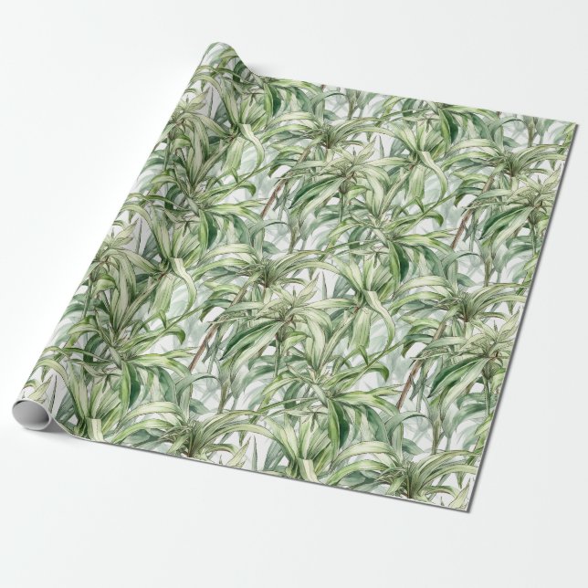 Papel De Presente Luz de Planta de Aranha de Aquarela (Desenrolado)