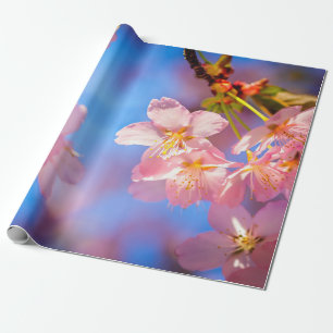 Papel De Presente Luz Do Sol Nas Flores Sakura