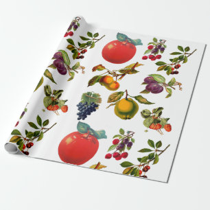 Papel De Presente Maçãs de Frutas Botânicas Vintage Pera Arte de Uva