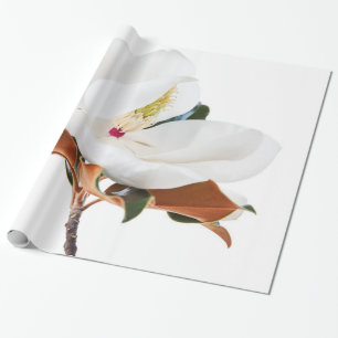 Papel De Presente Magnolia Flor Magnésio Flor
