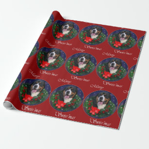 Papel De Presente Maior Natal suíço do cão da montanha