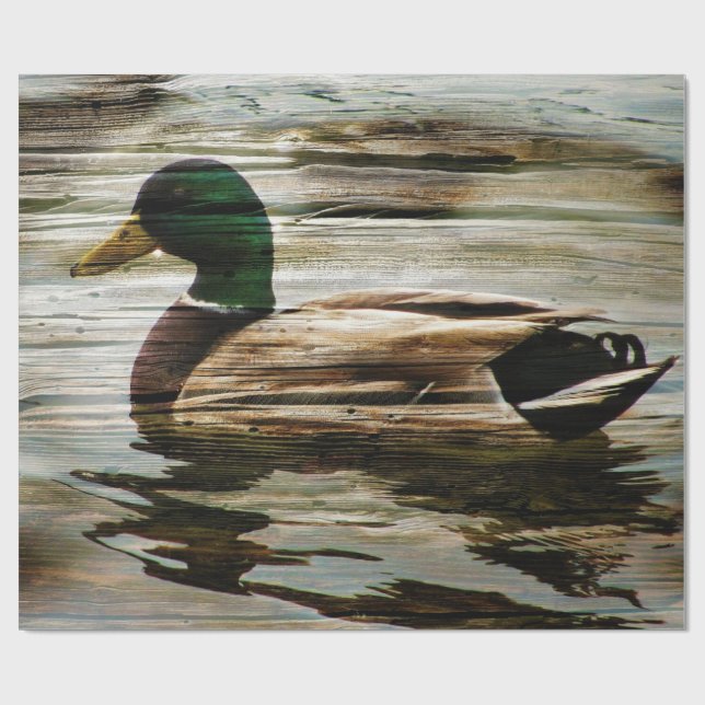 Papel De Presente Mallard Duck (Aberto)