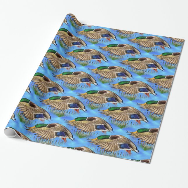 Papel De Presente Mallard Duck (Desenrolado)