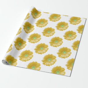 Papel De Presente Margarida amarela do gerbera