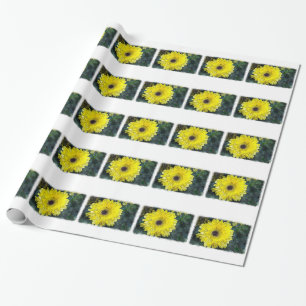 Papel De Presente Margarida Aquarela em Branco