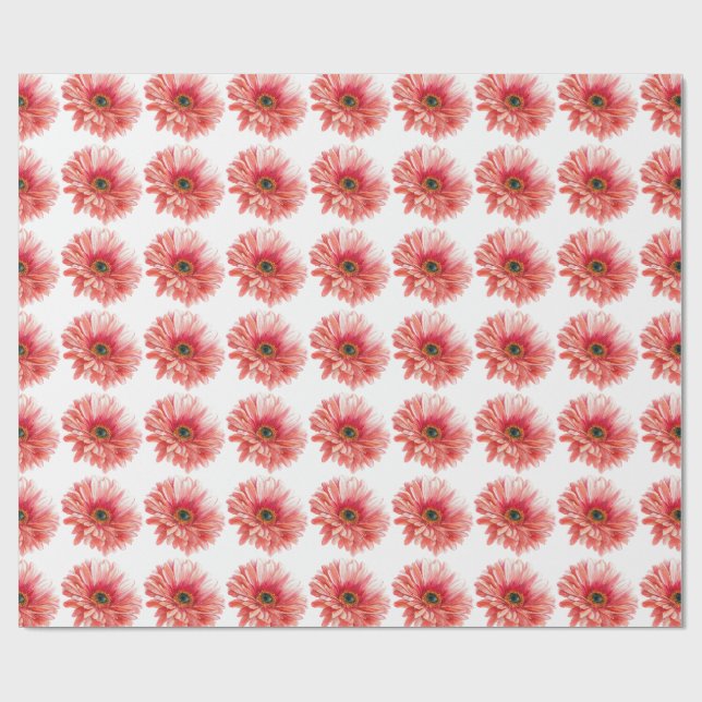 Papel De Presente MARGARIDA belas margaridas aquarela rosa  (Aberto)