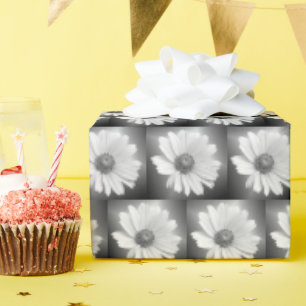 Papel De Presente margarida branca brilhando em preto