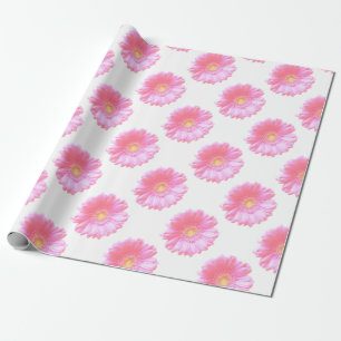 Papel De Presente margarida da rosa claro gerbera