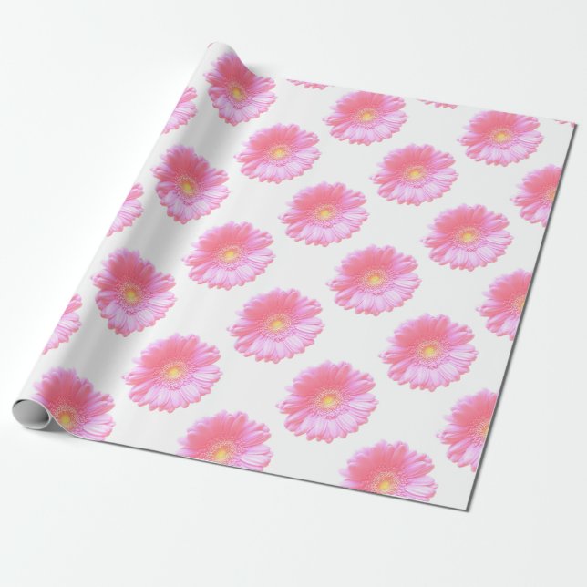 Papel De Presente margarida da rosa claro gerbera (Desenrolado)