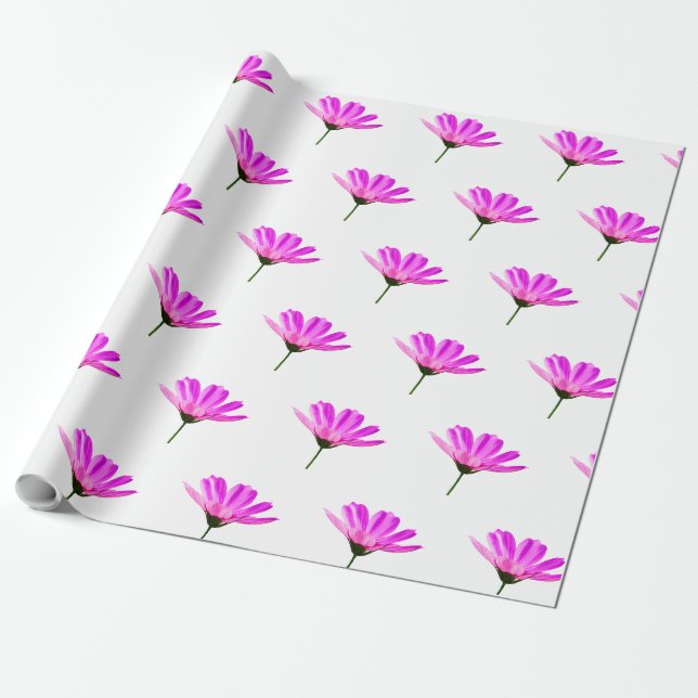 Papel De Presente Margarida Rosa  (Desenrolado)