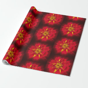 Papel De Presente marigold vermelho vivo