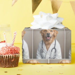 Papel De Presente Médico Retriever Dourado Com um Estetoscópio