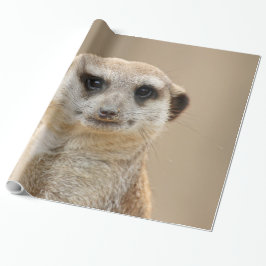 Papel De Presente Meerkat_2015_0211