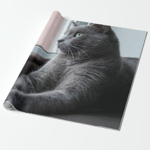 PAPEL DE PRESENTE MEU ROTEADOR DE MADEIRA RECUPERADO KITTEN