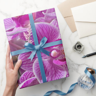 Papel De Presente Mini Phalaenopsis Sogo Vivien Purple Orchid Flower