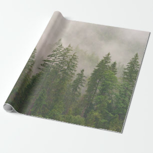 Papel De Presente Misty Foggy Forest Trees