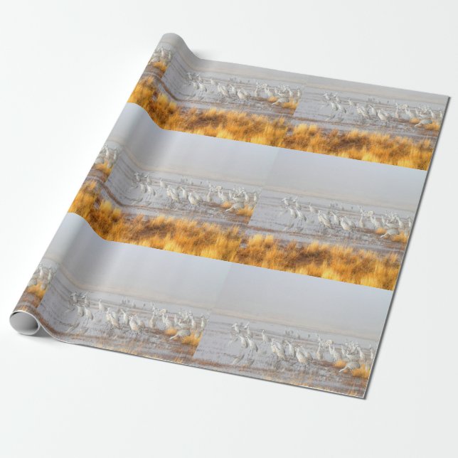 Papel De Presente Misty Sandhill Cranes (Desenrolado)