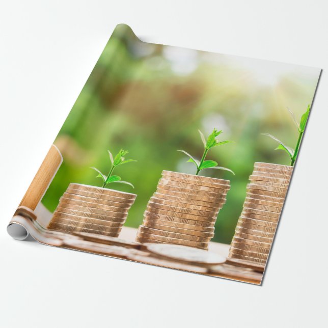Papel De Presente Moeda de investimento em casa dinheiro (Desenrolado)