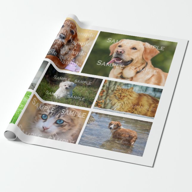 Papel De Presente Moldura de colagem de animais da família de fotos  (Desenrolado)