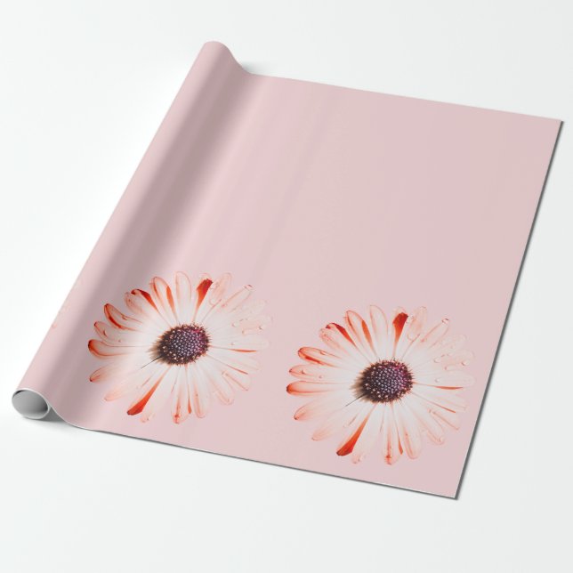Papel De Presente Montana Selvagens A Rosa (Desenrolado)