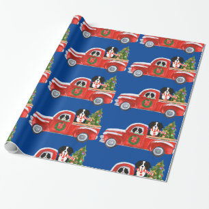Papel De Presente Montanha do Natal Bernese Cachorros Vermelhos Azul