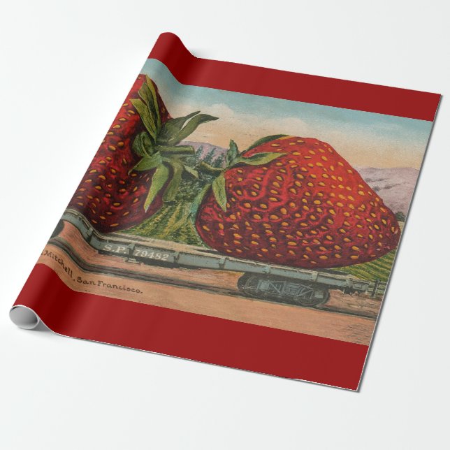 Papel De Presente Morangos Gigante Antigo Fruta Diversão (Desenrolado)