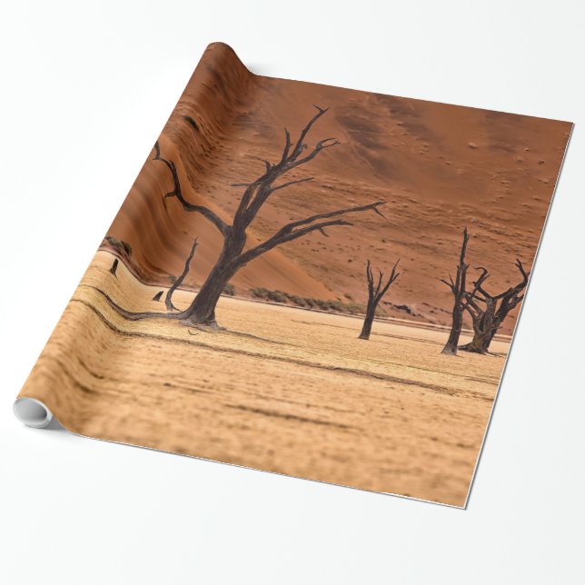 Papel De Presente Morto Vlei, Namíbia (Desenrolado)