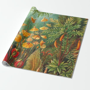 Papel De Presente Moss - Ernst Haeckel