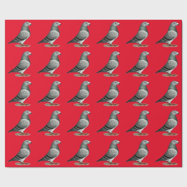 Papel De Presente Mostrar Pombo Azul Raciador (Barra)
