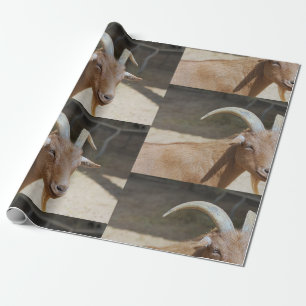 Papel De Presente Mt.Bill