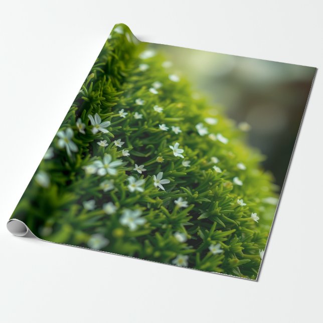 Papel De Presente Musgo da Floresta Encantada Primavera (Desenrolado)
