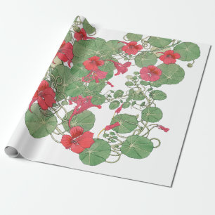 Papel De Presente Nasturtídeos vermelhos   Lituânia Antica 1896