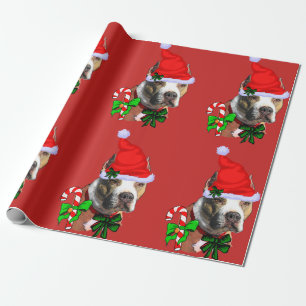 Papel De Presente Natal americano de Terrier de pitbull