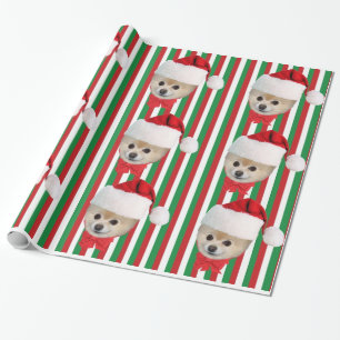 Papel De Presente Natal, cão de Pomeranian, chapéu do papai noel