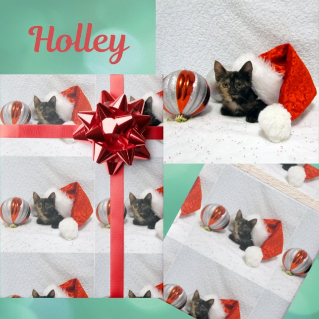 Papel De Presente Natal de Holley - Natal de Torti Cat (Criador carregado)