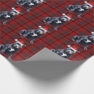 Papel De Presente Natal de Xadrez de Feriado de Cachorro Bluenose
