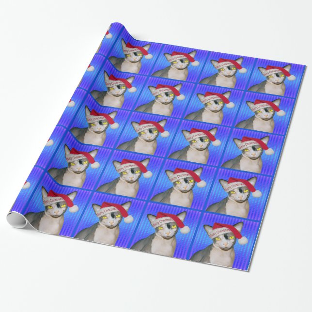 Papel De Presente Natal do azul do papai noel do gato de Sphynx (Desenrolado)