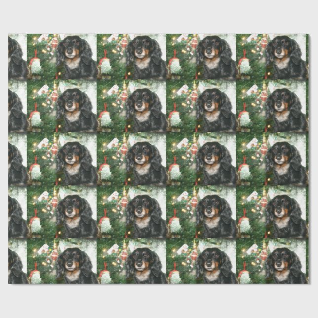 Papel De Presente Natal preto e tan do Dachshund (Aberto)