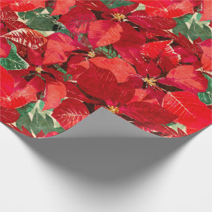 Papel De Presente Natal vermelho da poinsétia